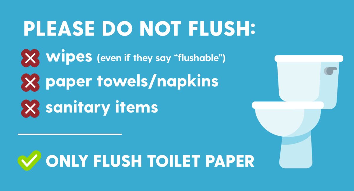 Do not flush